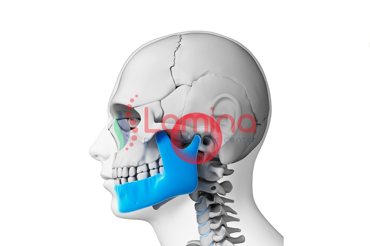 TMJ adalah